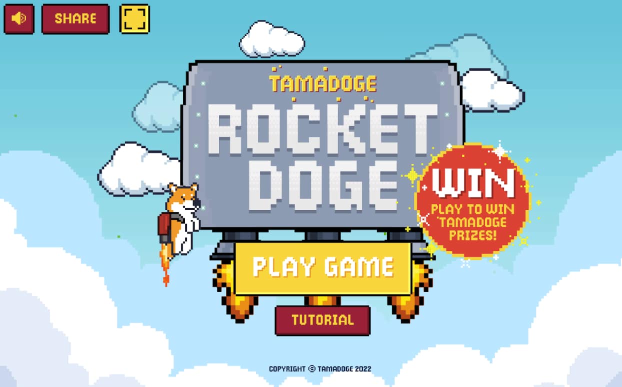 rocketdog 3