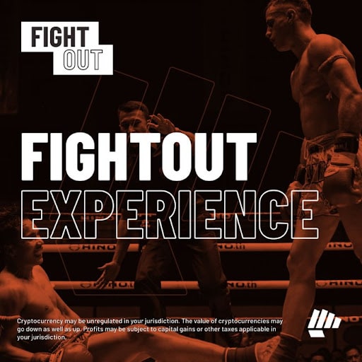 fight out experience