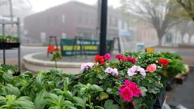 staunton farmers market