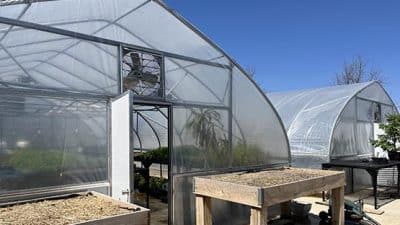 harrisonburg greenhouses