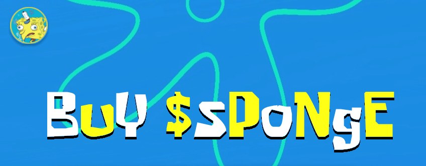 buysponge