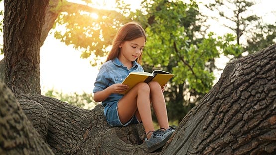 child reading book in tree