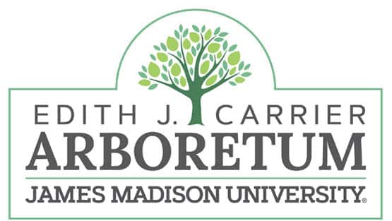 JMU arboretum