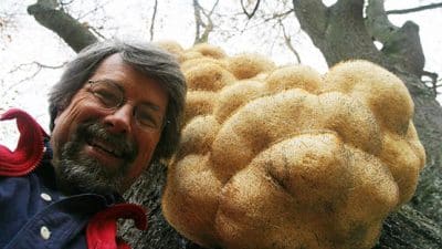 frank hyman mushrooms