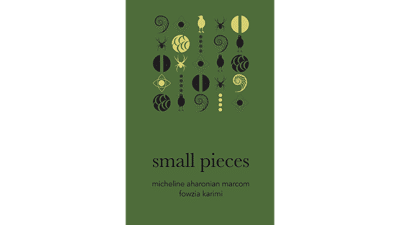 small pieces book