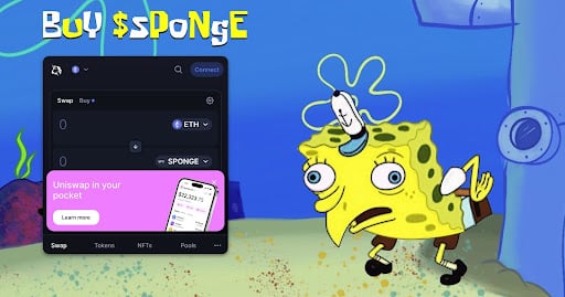 sponge