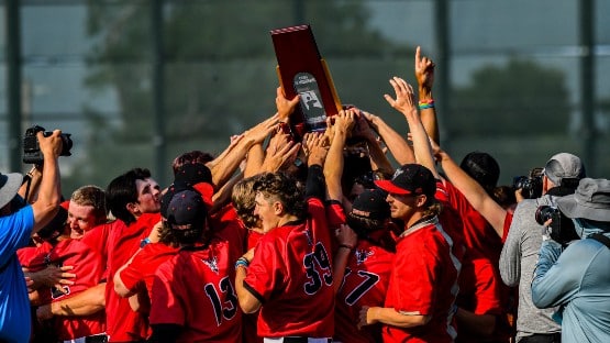 Lynchburg wins 2023 DIII baseball championship