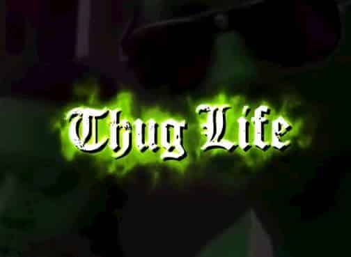 Thug Life Meme Coin Hit Exchanges Will it 100x like SPONGE