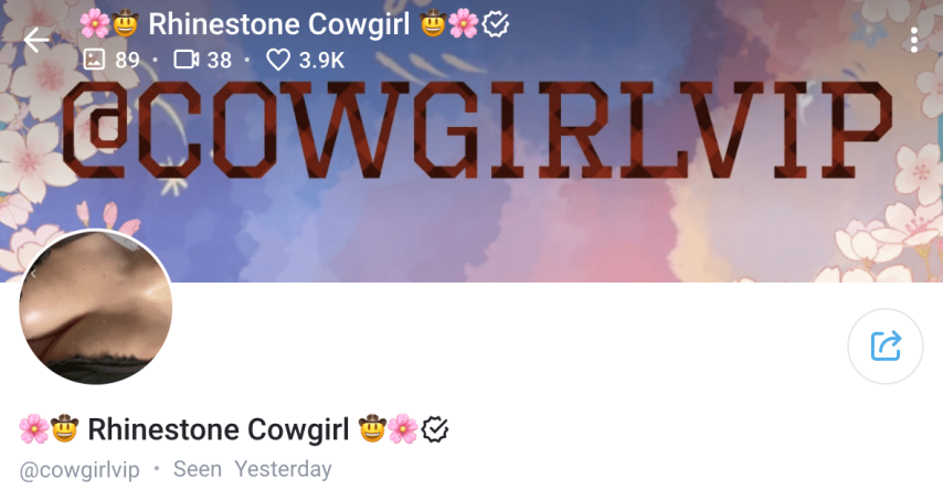 Rhinestone Cowgirl Dallas OnlyFans