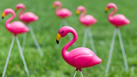 plastic flamingo flock