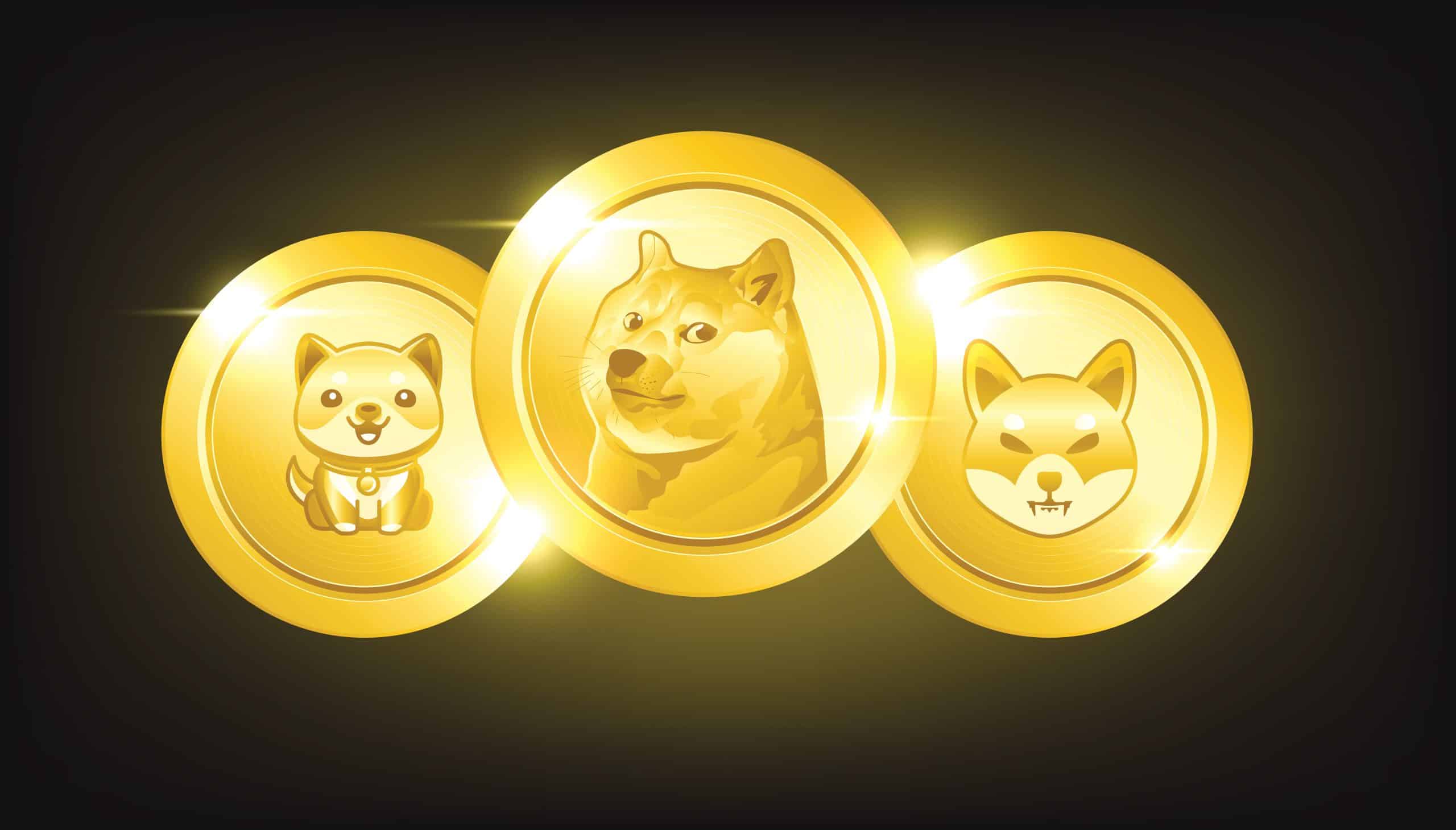 What are meme coins? From Shiba Inu to Dogecoin