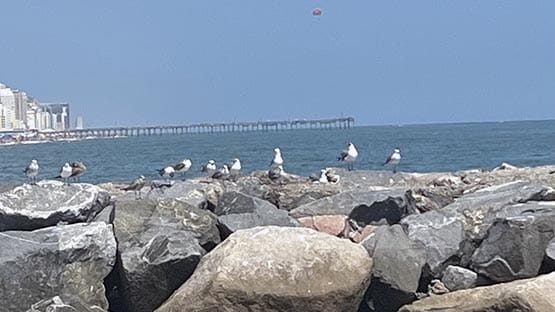 Virginia Beach pier and oceanfront