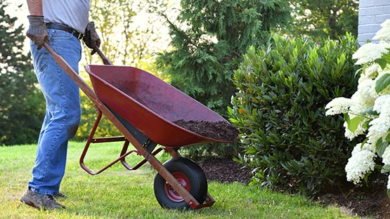 gardening in Virginia