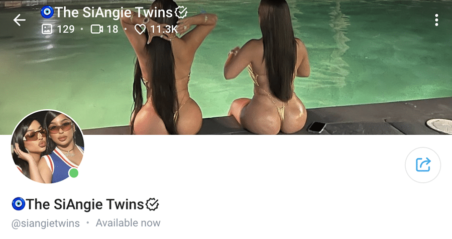 siangie twins onlyfans