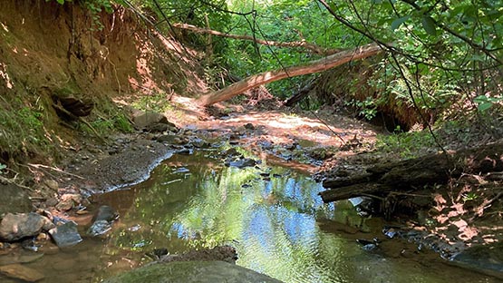 schenks branch tributary stream charlottesville