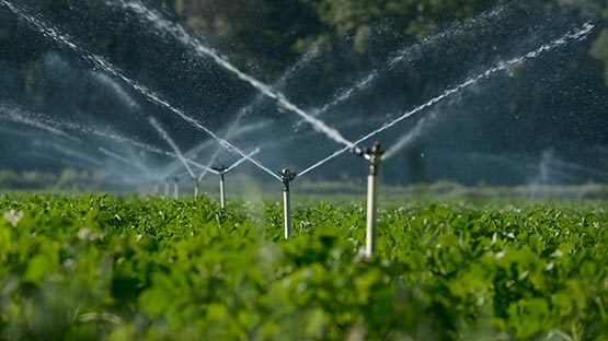 farm sprinkler