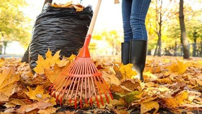 raking leaves in fall