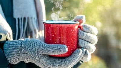 hot chocolate or tea in mug