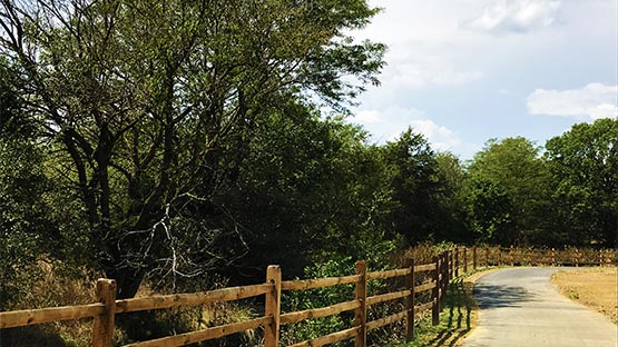 harrisonburg greenway northend