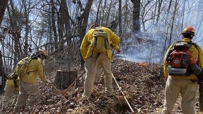 vadoc firefighters buchanan county forest fire