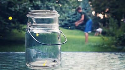 catching fireflies in jar in summer