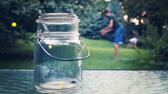 catching fireflies in jar in summer