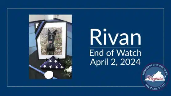 rivan