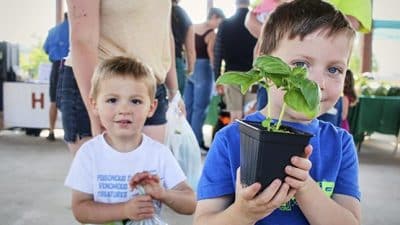 waynesboro farmers market child grow