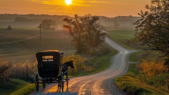 Horse-drawn Amish Buggy