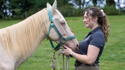 VT stallion vet teaching hospital