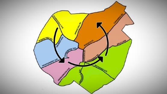 staunton leaf collection