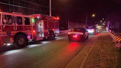 Lynchburg train crash pedestrian