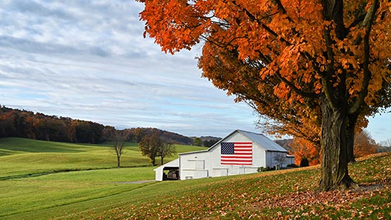 Fall trees leaves barn country flag