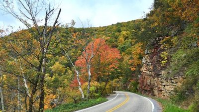 mountain mountains allegheny road travel fall autumn tree