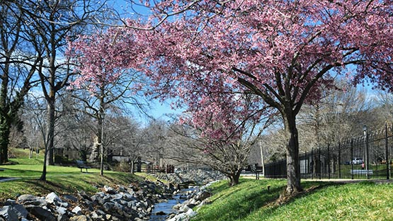 spring in gypsy hill park in staunton