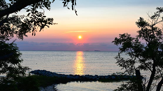 Have recent Chesapeake Bay cleanup efforts had success?