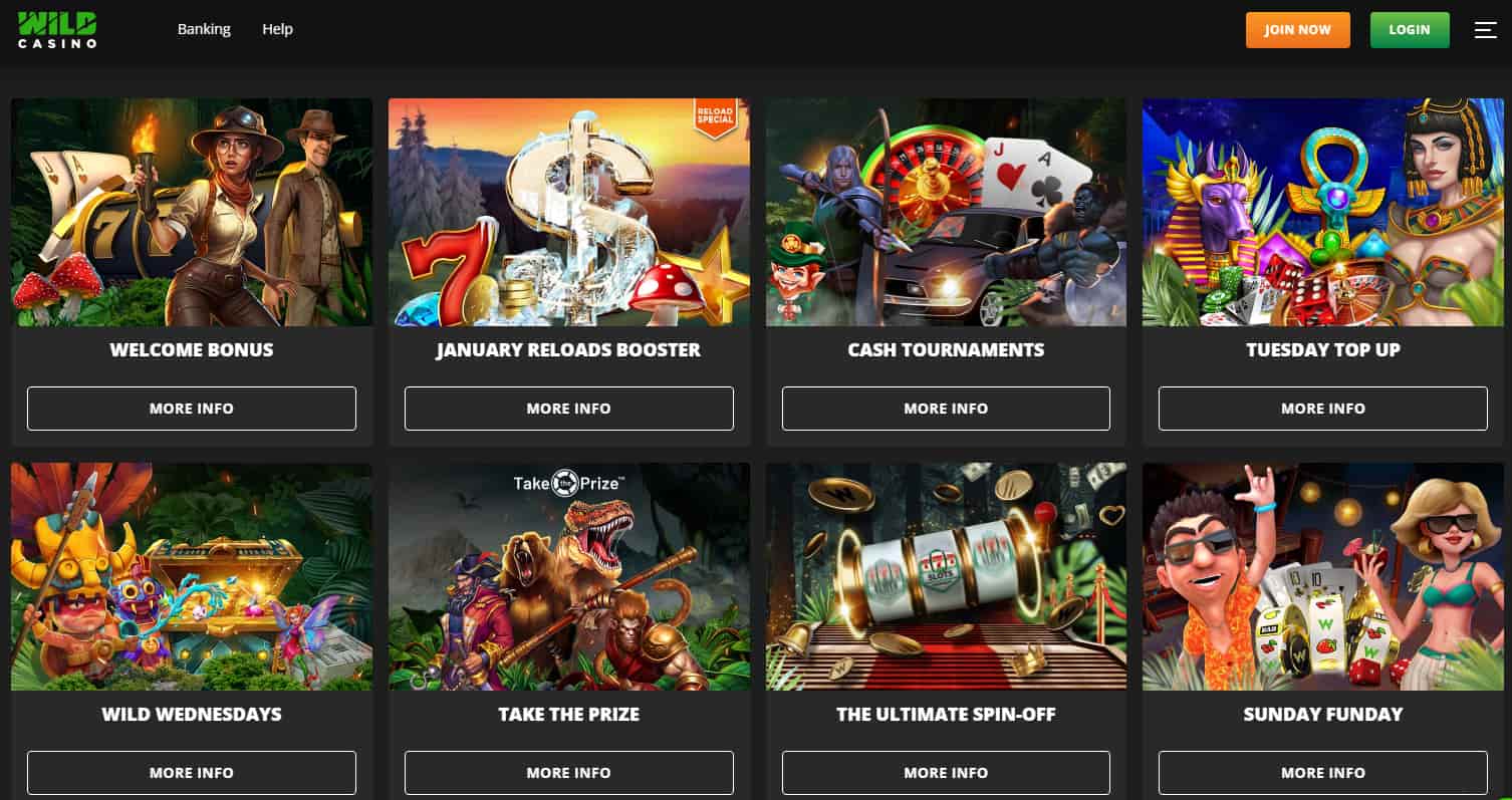 new online casinos wild casino bonuses
