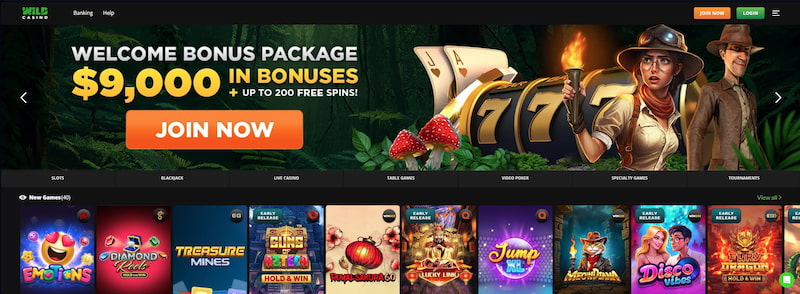 california online casinos - wild casino crypto welcome promo & gaming library