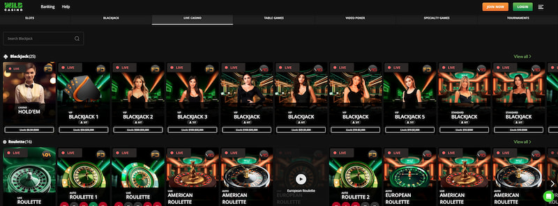 florida online casinos - wild casino live dealer games