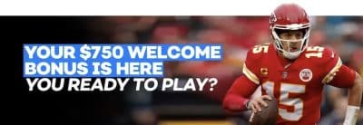 Bovada