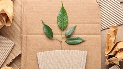 cardboard recycling