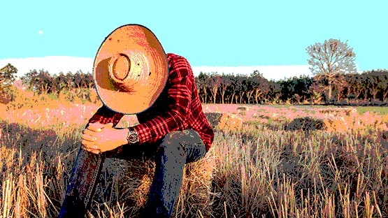 farmer stress mental health tariffs