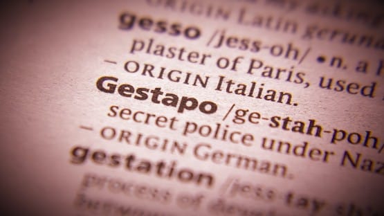 trump gestapo
