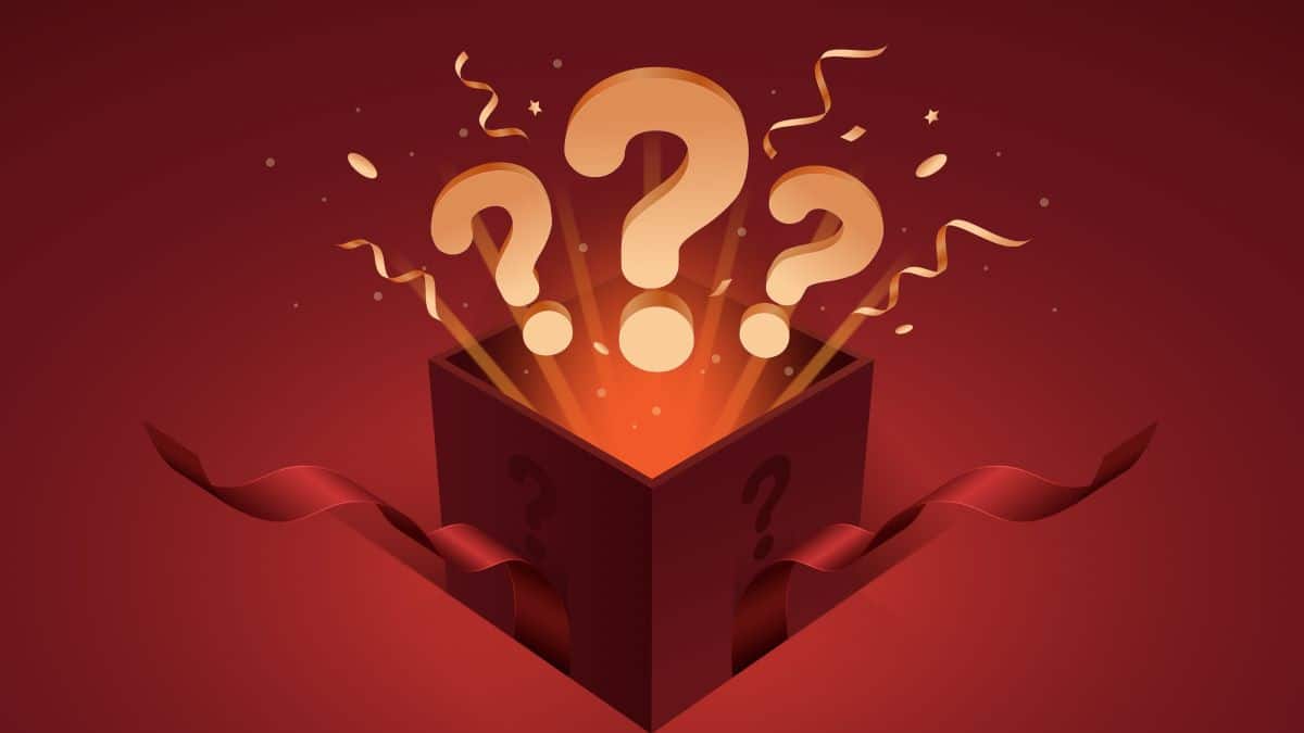 The Rise of Shein Mystery Boxes