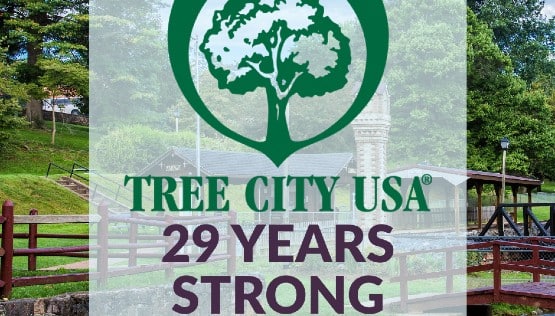 Tree City Appleton Staunton celebrates 29 years recognized as Tree City by Arbor Day ...