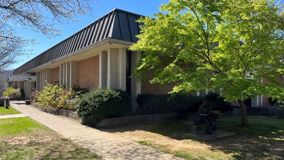 'Free for All': Waynesboro Public Library to host preview of PBS ...