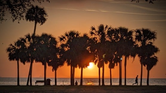 sunshine state