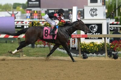 5 Best Preakness Stakes 2025 Betting Apps In California 