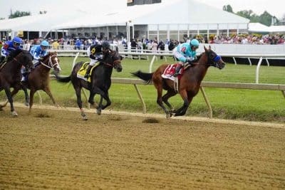5 Best Preakness Stakes 2025 Betting Apps In Florida 