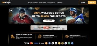 Top online sportsbook for the Preakness Stakes, BetWhale is offering the largest betting offer to all players valued at ,000 in free bonus crypto offers